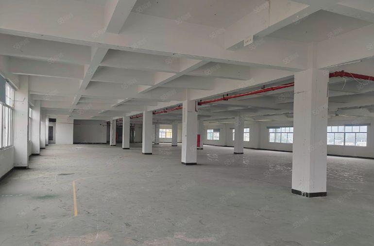 东莞塘厦4楼零公摊实际面积出租整层2000平方米，13平