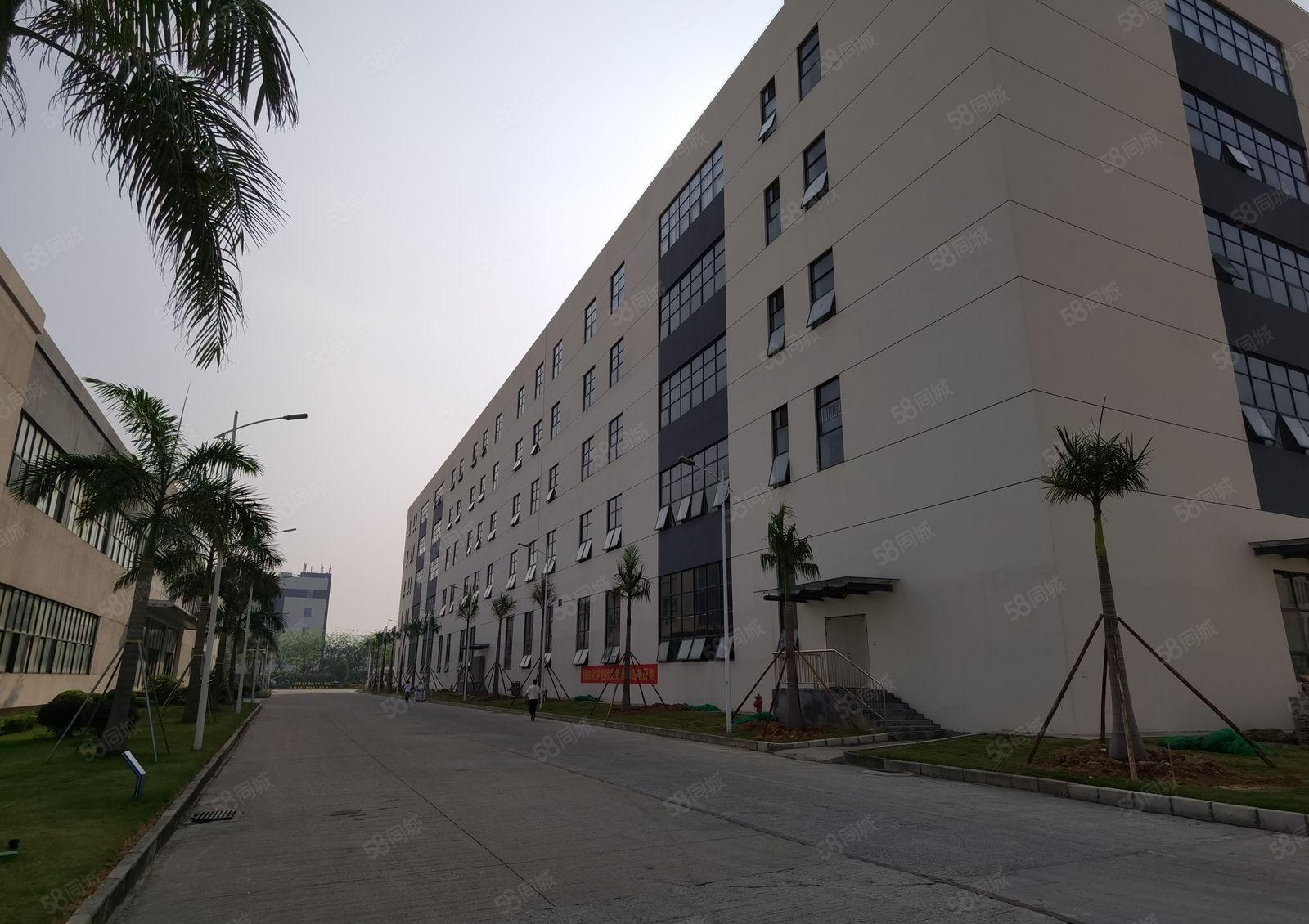 塘厦高速口沙湖新出原房东楼上8000平厂房仓库出租，大小分租