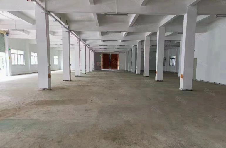 电池行业可接！林村广场附近独院出租标准厂房1150平带装修