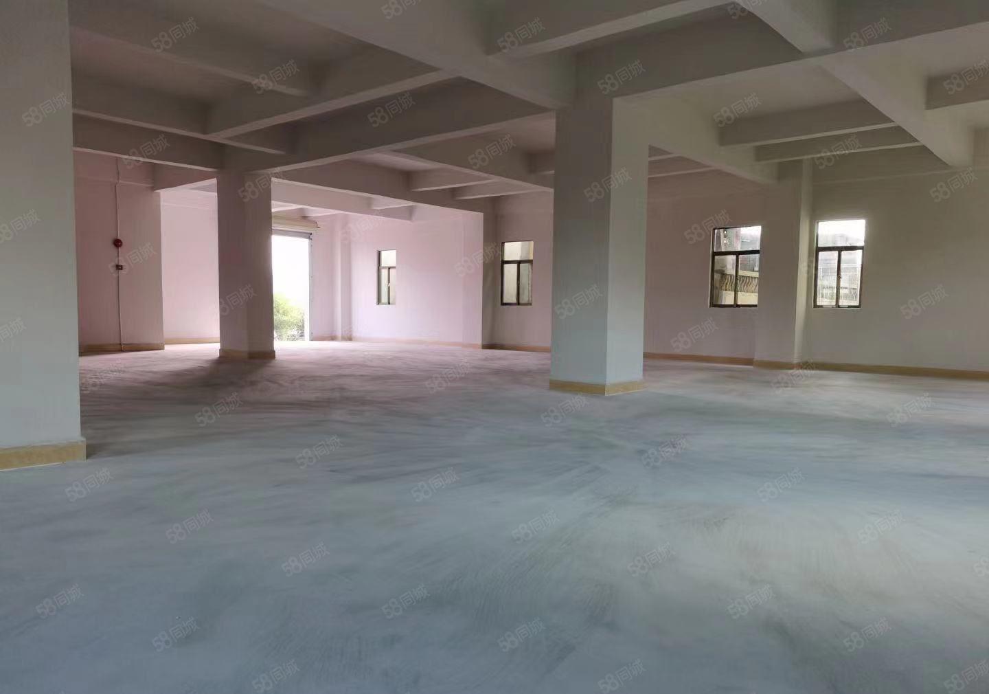 塘厦凤凰岗500平小面积厂房招租，可做噪音行业，特价13元！