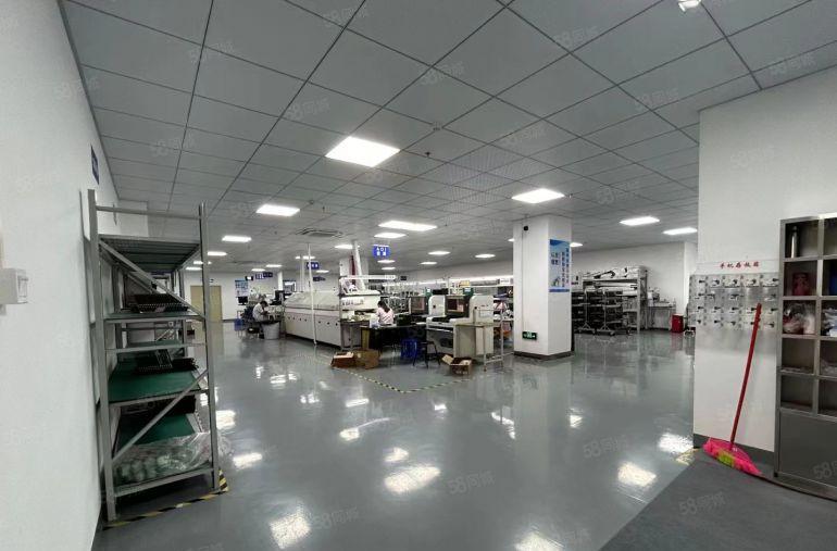 塘厦龙背岭原房东直租楼上880平，现成豪华精装修，无需转让费