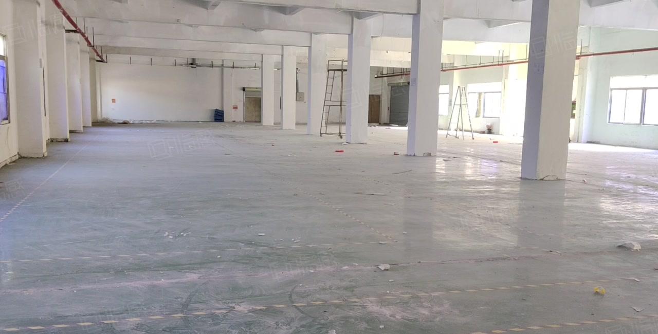 塘厦田心工业区独院一楼1600平带红本标准仓库厂房出租可分租