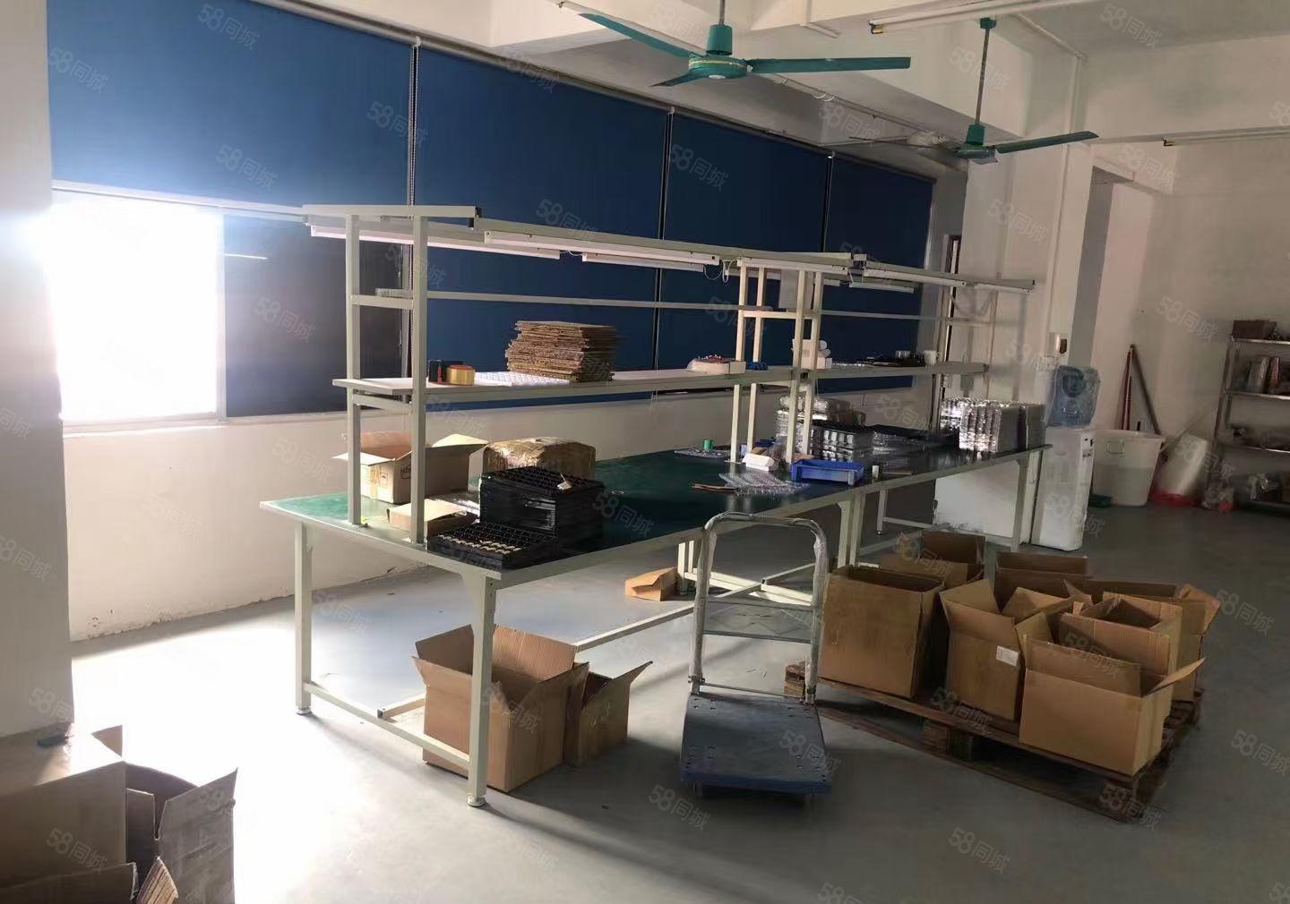 塘厦镇诸佛岭实业路28号，新空出5楼450平米，现成水电装修