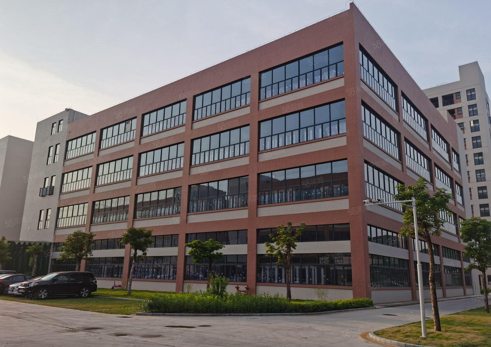 一手房东直租！塘厦科苑城新出红本独栋12000平厂房仓库出租