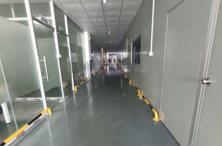 塘厦新空二楼精装修厂房出租，形象靓500平起分，有地坪漆喷淋
