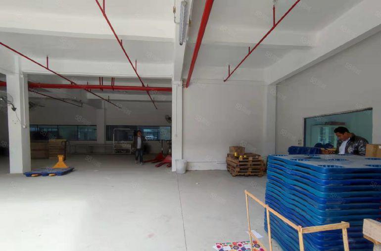 塘厦独院一楼380平仓库厂房出租，消防喷淋水电全可进大车