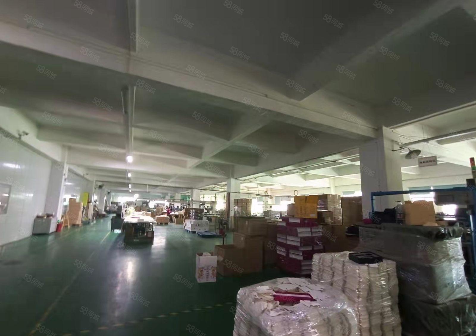 塘厦镇中心厂房二楼厂房出租水电线路齐全空地大形象好