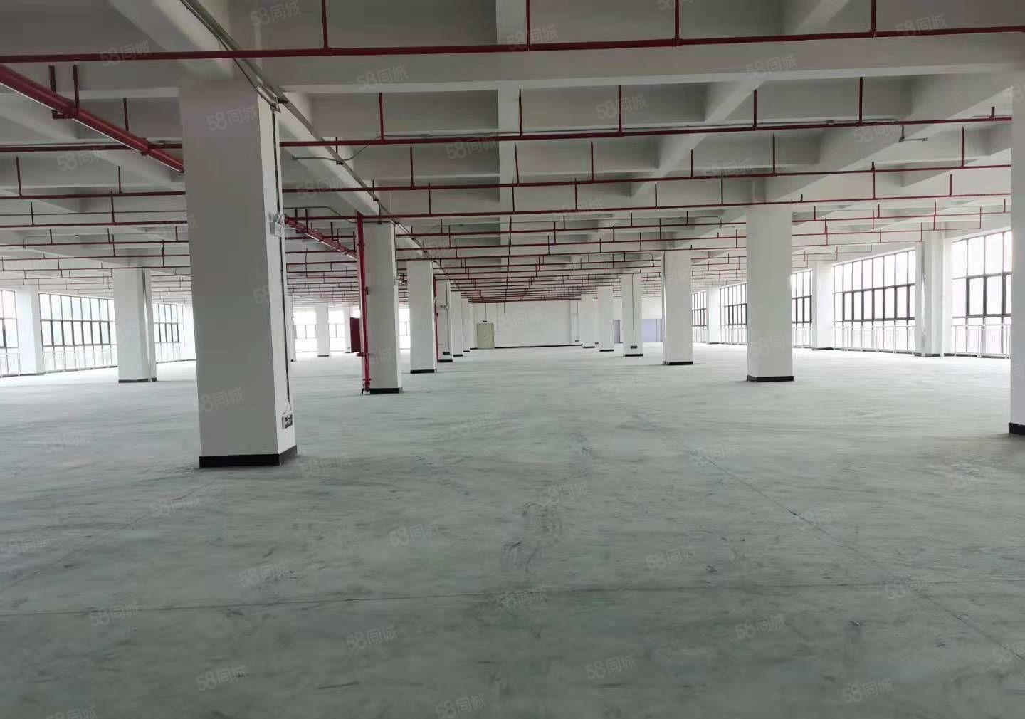 塘厦高速口新出红本重工业60000平厂房仓库出租，大小可分租