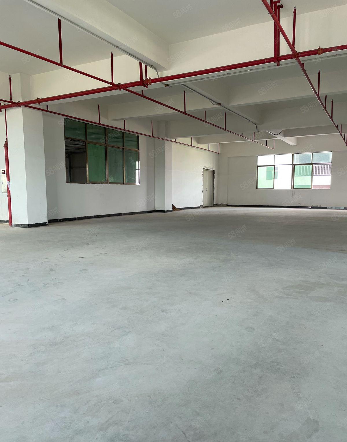 塘厦全新厂房5000平大小可分租，带消防喷淋，原房东租