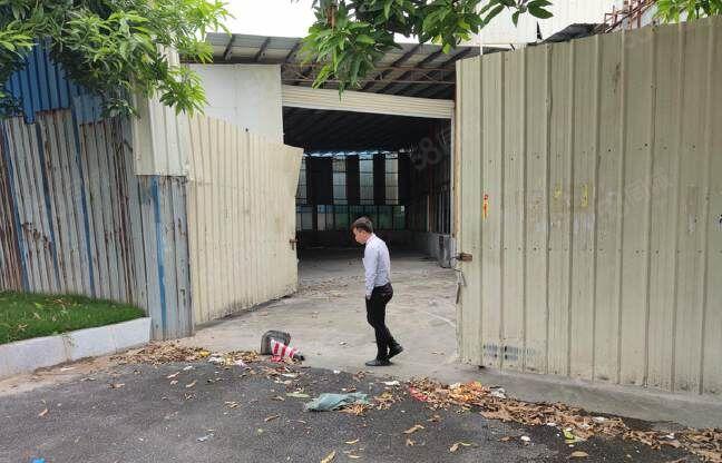 原房东一楼600方，可做小加工废品回收 简易厂房出租