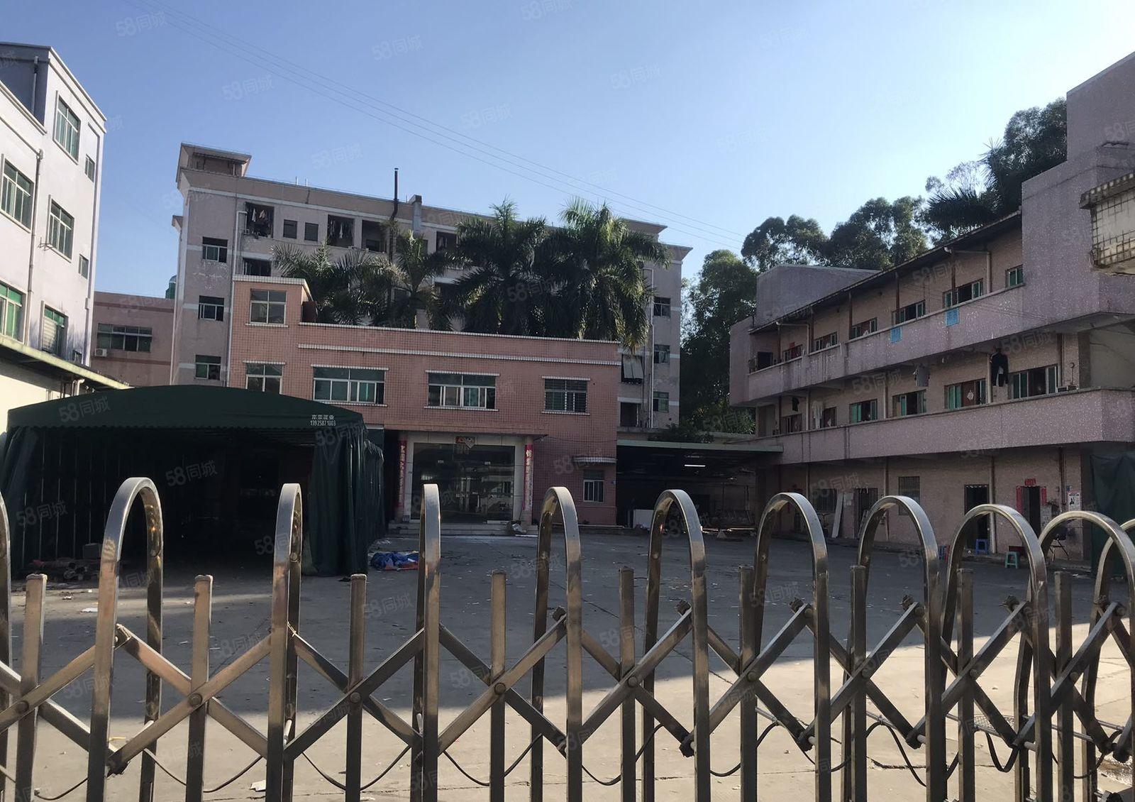 塘厦新出标准独院厂房 6060平方米 原房东直租