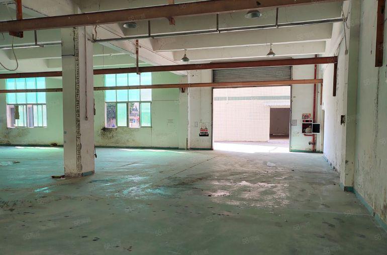 电池专用||塘厦科苑城科苑路新出独院6800平方欢迎电池客户