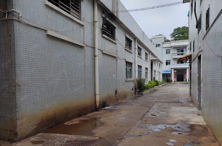 原房东独门独院厂房||塘厦大坪工业区8米高独院3000平方租