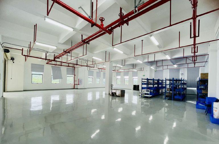 塘厦大坪原房东花园式厂房电商仓库8000平出租，大小分租