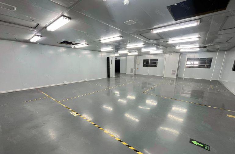 12元塘厦邻华为独院带精装修无尘车间仓库厂房出租形象好可分租