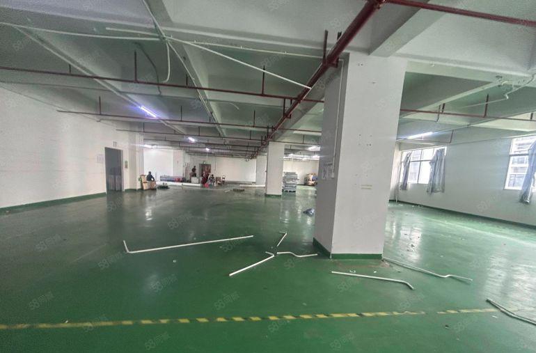 塘厦清湖头标准厂房1650平！隔好办公室精装修，0公摊