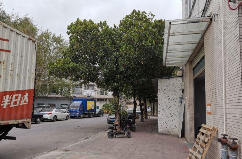 本地房东塘厦平山大路边一楼550平标准厂房出租，带装修无杂费