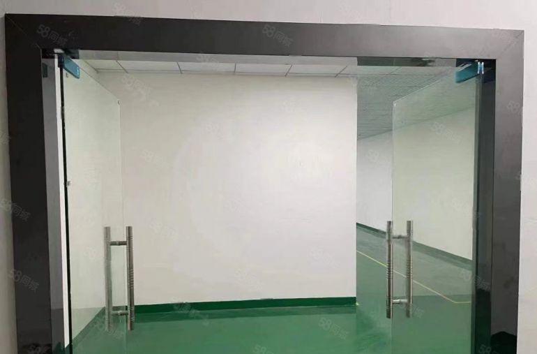 清湖头原房东，新装修320平米厂房出租 无转让费