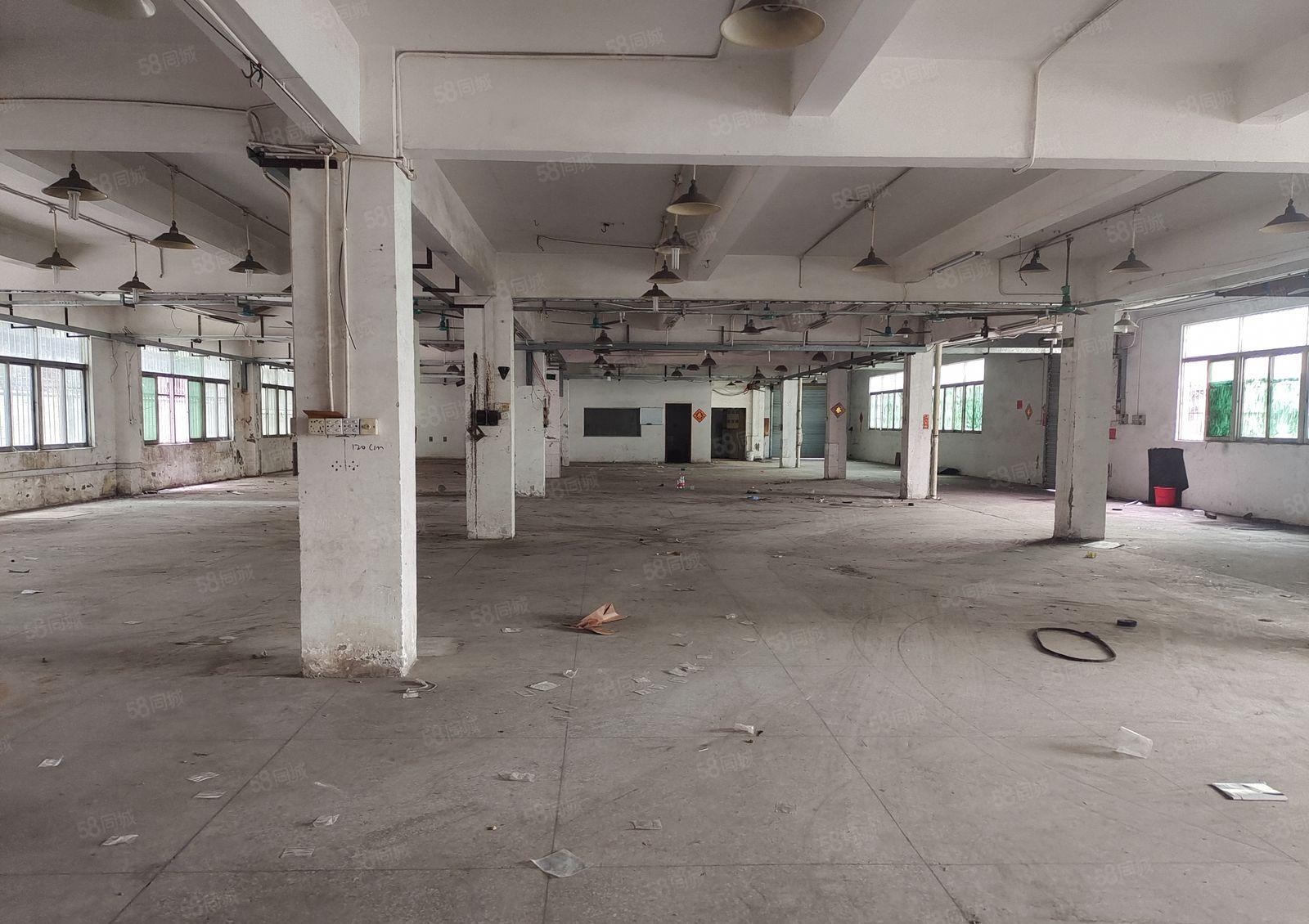 塘厦一楼1000平方厂房出租，现成办公室和水电，拎包生产