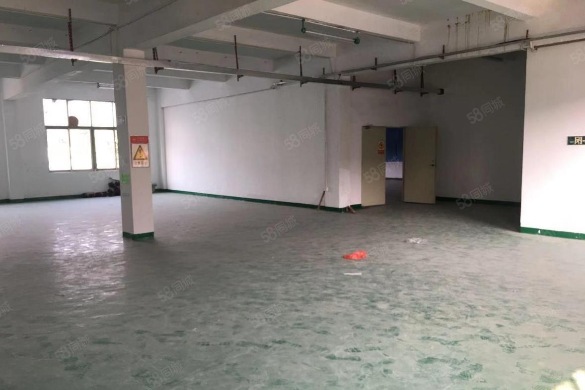 塘厦田心独栋标准两层1900平，园区厂房带装修，形象好。