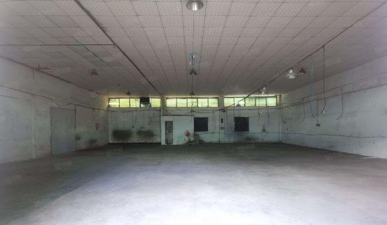 塘厦独院单一层一楼450平厂房仓库出租，带装修办公 可进大车