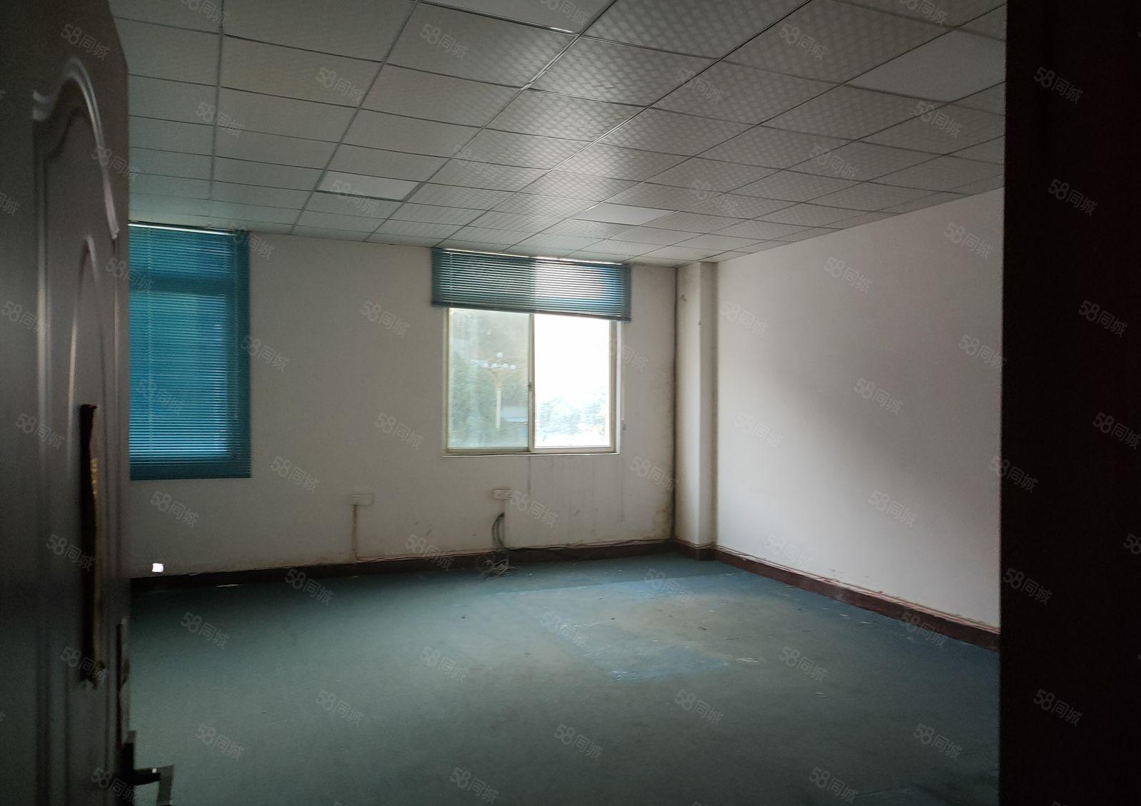 塘厦原房东独院厂房出租