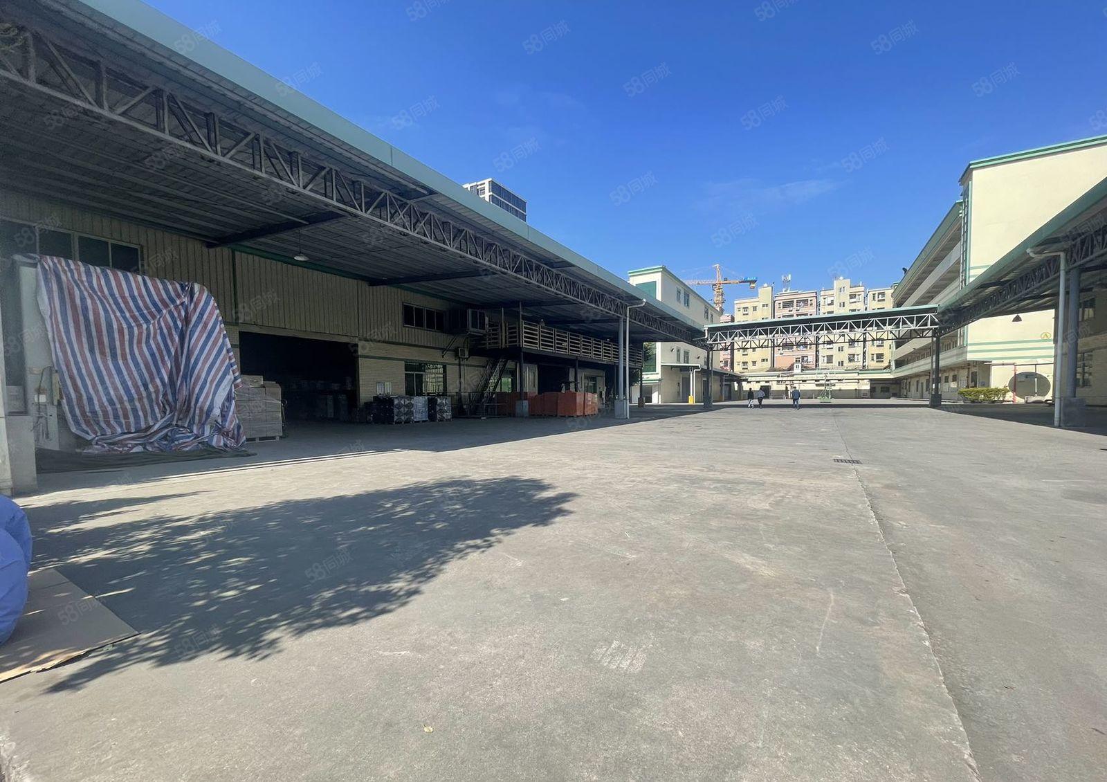 塘厦新出园区厂房 钢构形象佳 可整租可分租 1300平