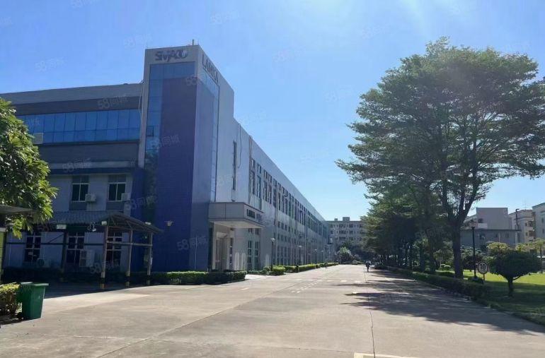 上市形象9元活动价塘厦1000平起分单层面积6666平出租