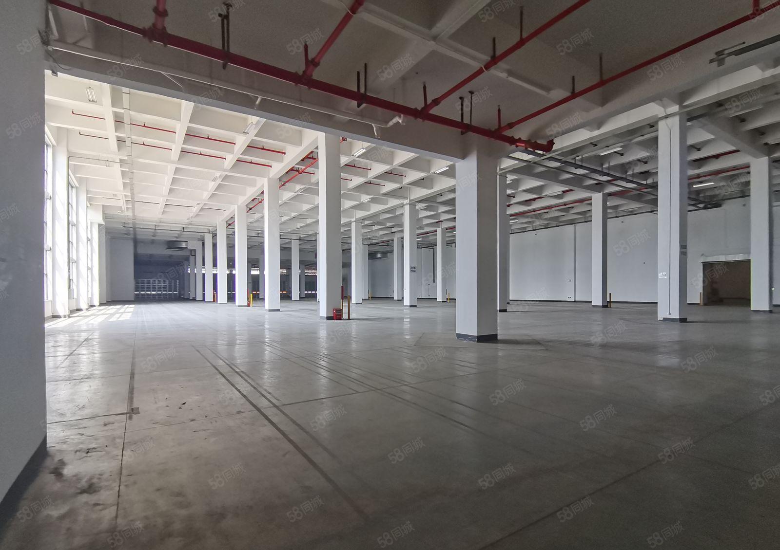 塘厦大坪高速独门独院2880平红本仓库厂房出租可分租可办环评