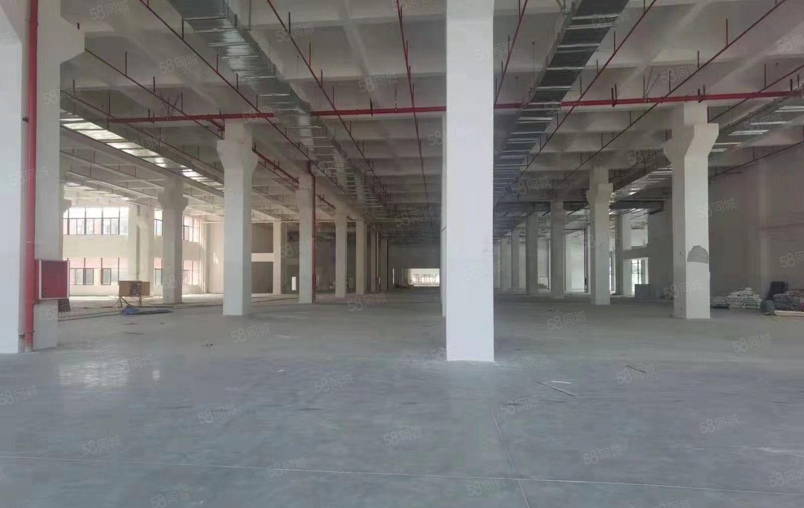 塘厦科苑城一楼9米红本厂房，消防喷淋大小分租