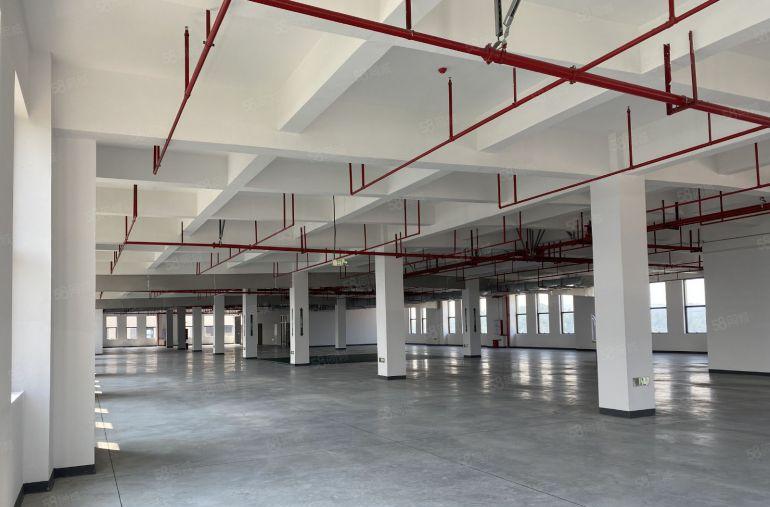 康复辅助器械认定园区！小独栋花园式厂房，可办环评，环境好