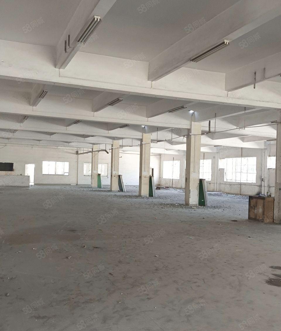 塘厦独门独院厂房出租，面积是12200平方，首层高度6米