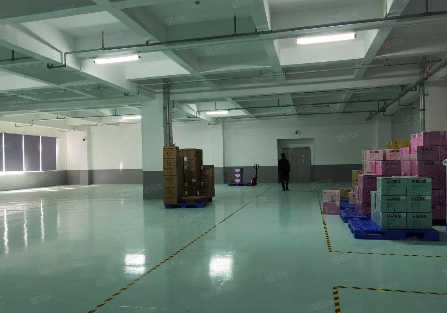 塘厦莆心湖工业区新出三楼2650平方全新装修可分租