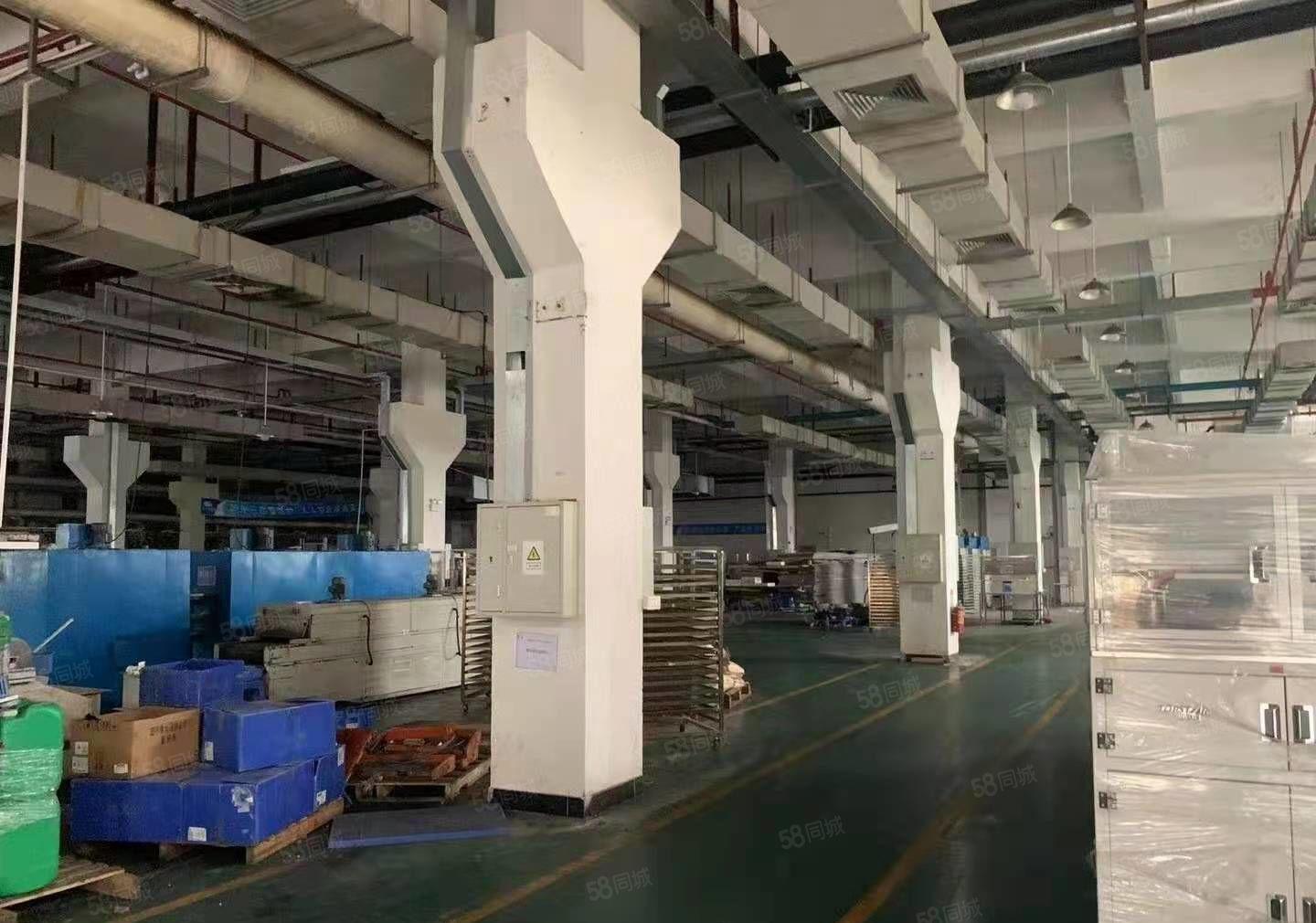 塘厦新出九成新花园式厂房