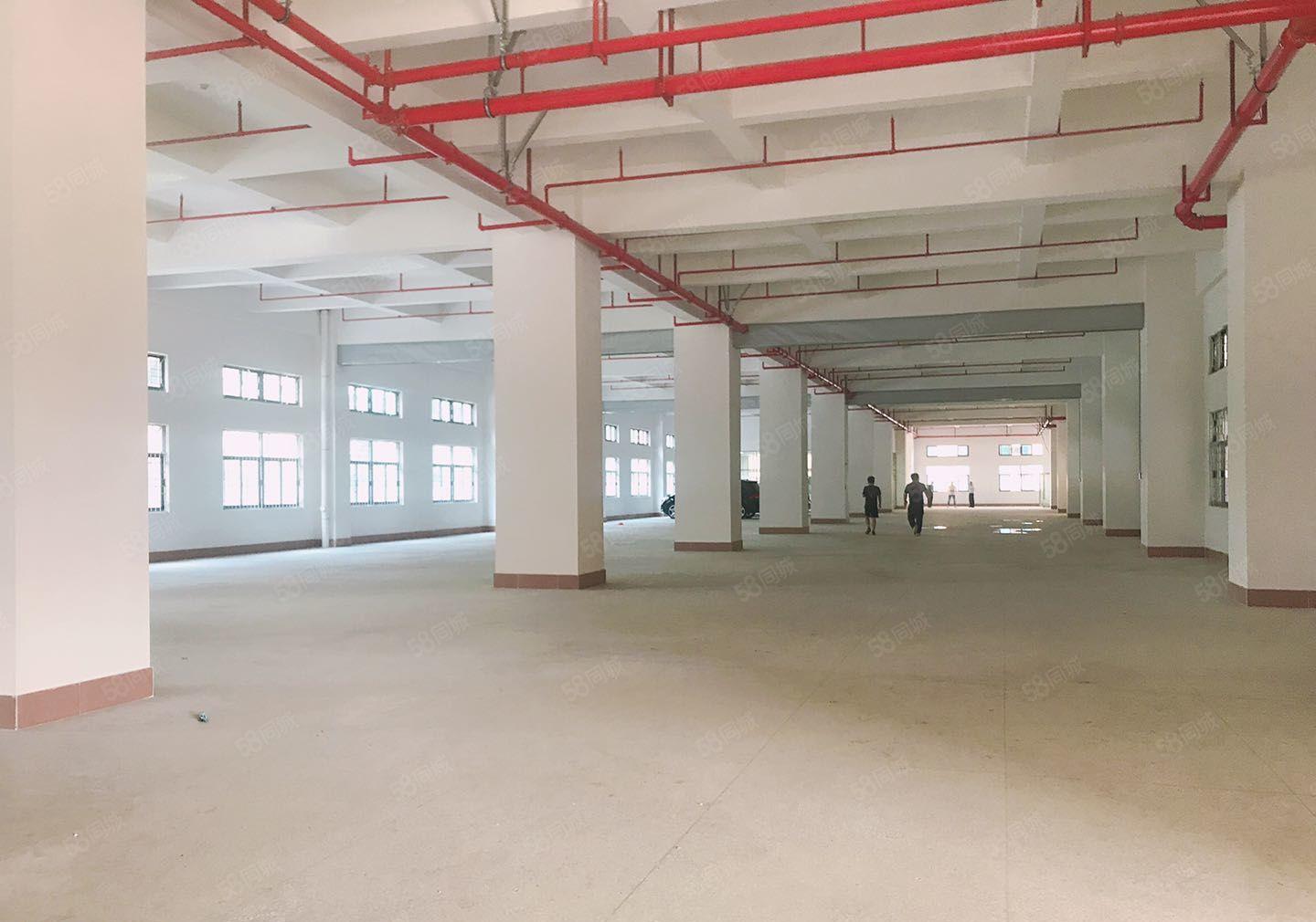 塘厦全新红本厂房，带卸货平台，工业用地可以办环评，靠近高速