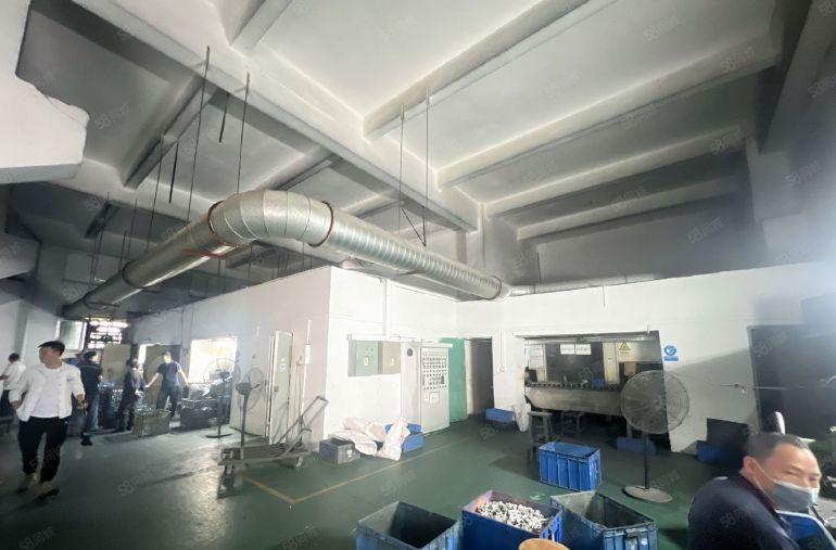 塘厦平山原房东直租标准1楼1400平方，高度6米，带有牛角！