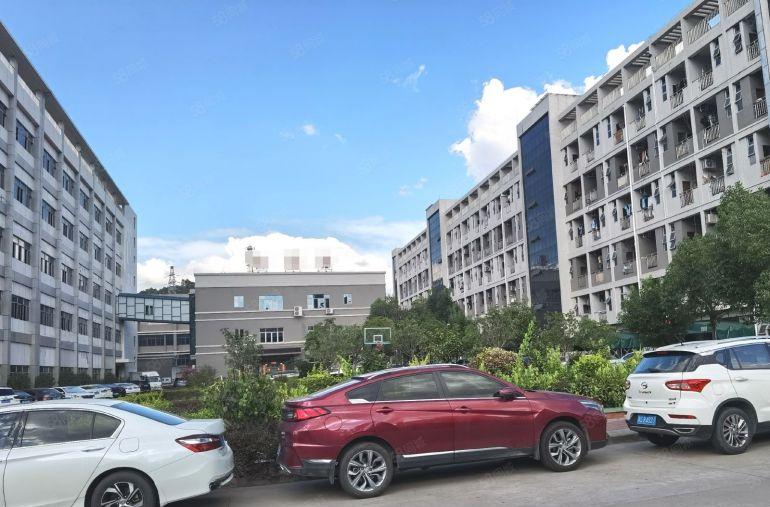 8元起租塘厦原房东厂房仓库出租大小可分租价楼上都有现成厂房