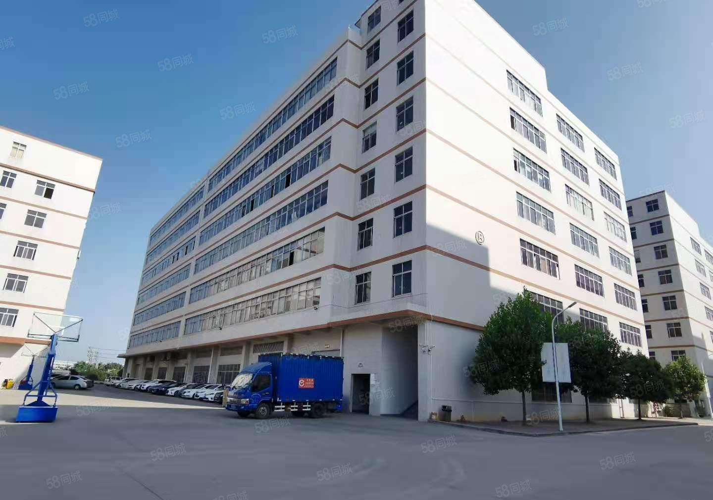 塘厦沙湖原房东自建红本厂房2万平单层3000平厂房仓库出租