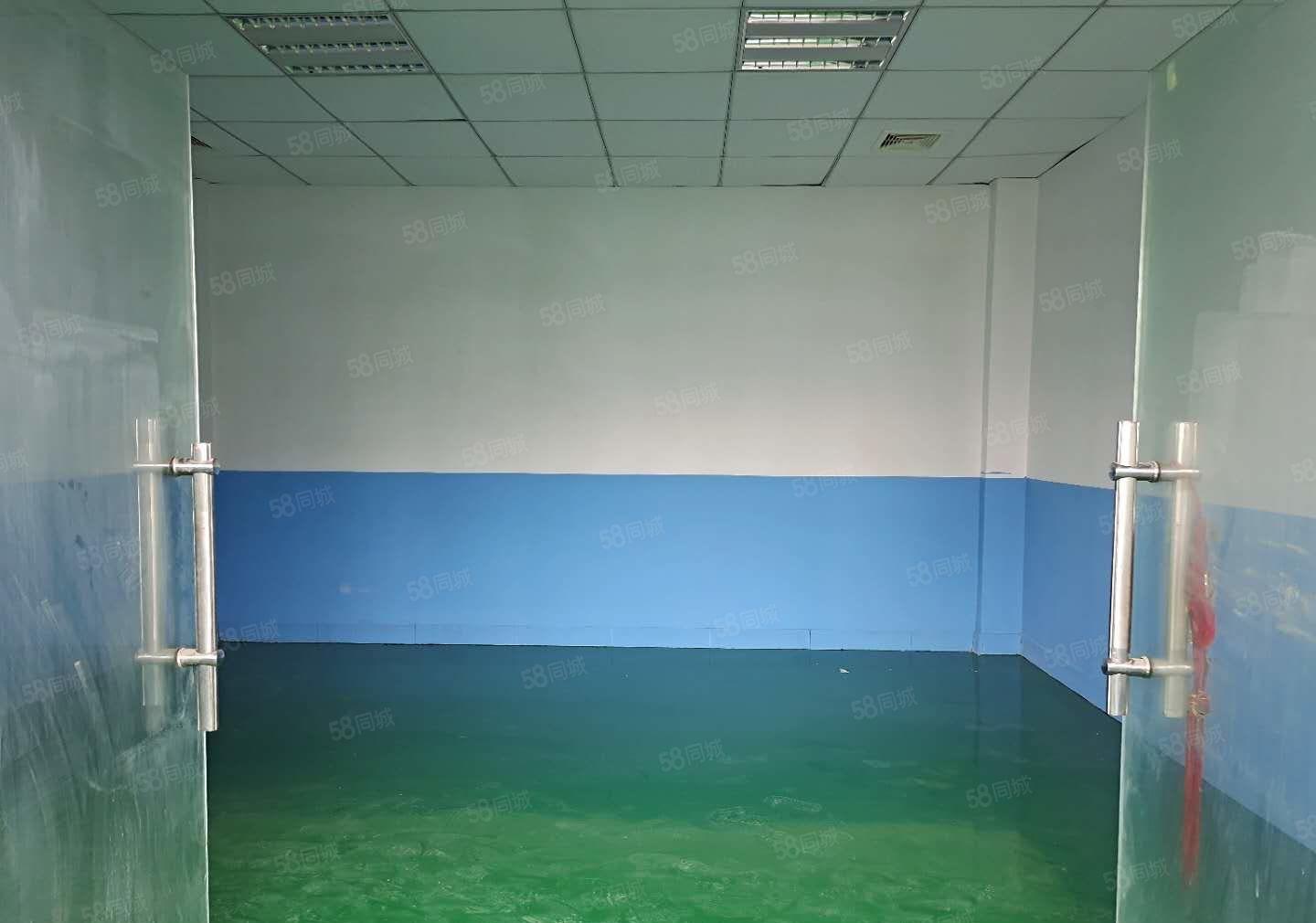 塘厦莲湖独院新出标准5楼580平方！全层地坪漆装修现成办公室