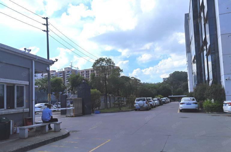 8元起租塘厦原房东厂房仓库出租大小可分租价楼上都有现成厂房