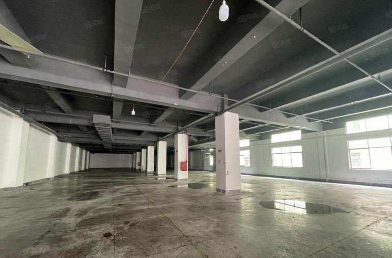 原房东实际面积！塘厦138工业区一楼1650平，空地大，慢无