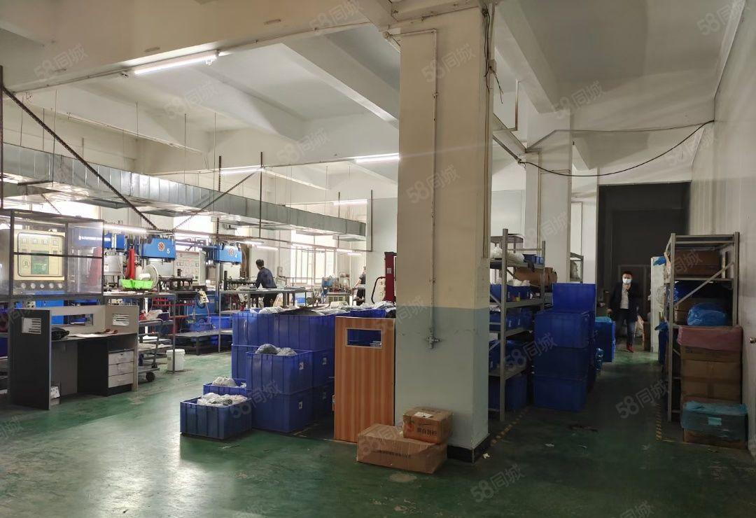 塘厦镇莲湖新出一楼700平米标准厂房出租