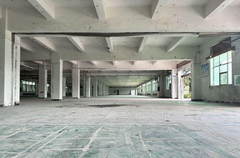 塘厦石鼓工业园29298平大小可分租花园式厂房