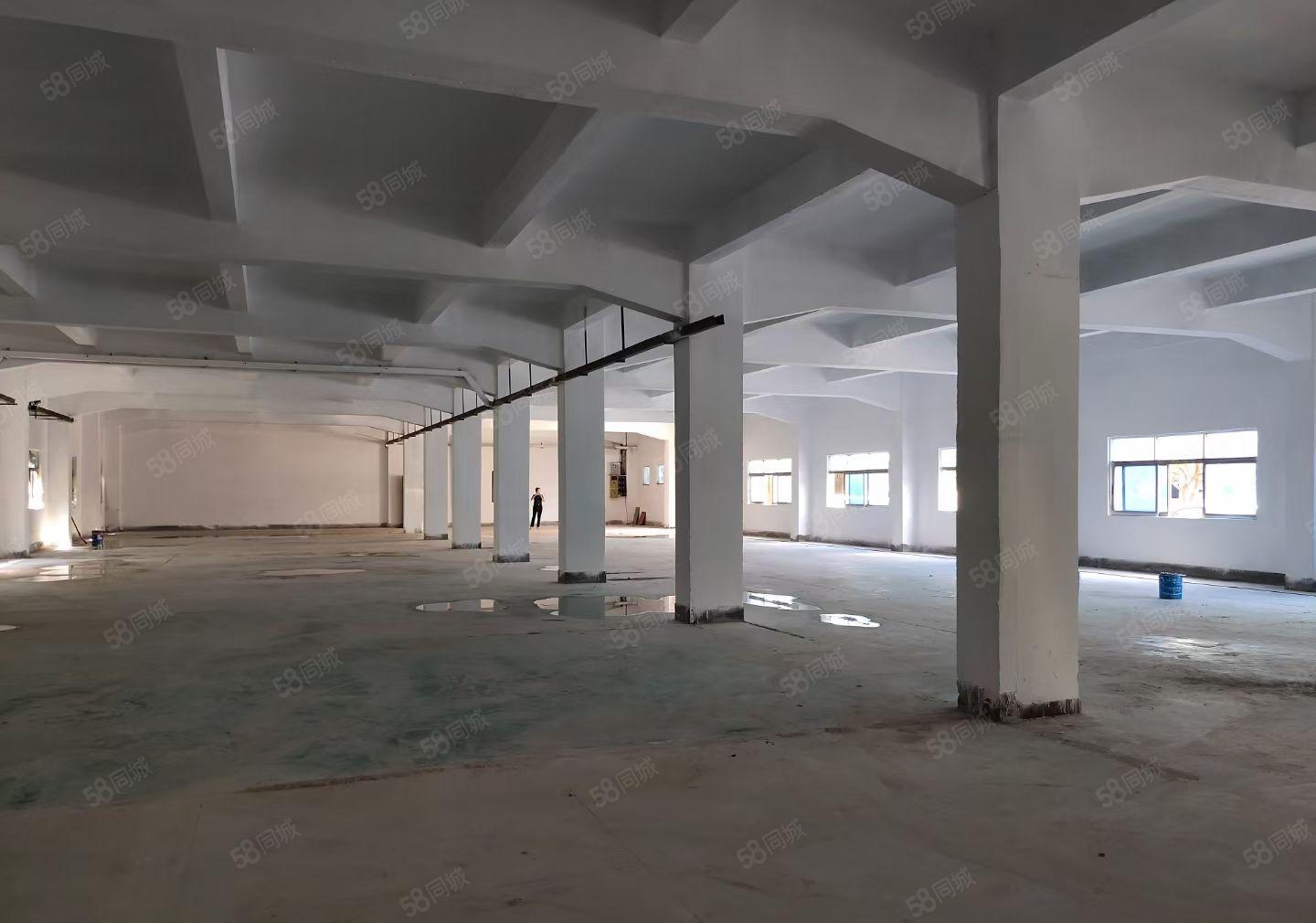 塘厦镇振兴围村，独栋二楼  三楼厂房一起出租，周边停车方便