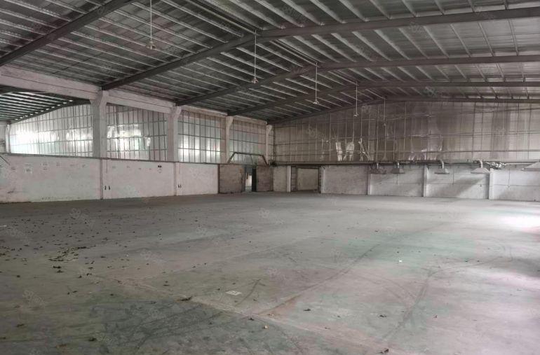 16元起租塘厦石鼓独门独院2000平单一层钢构厂房出租可分租