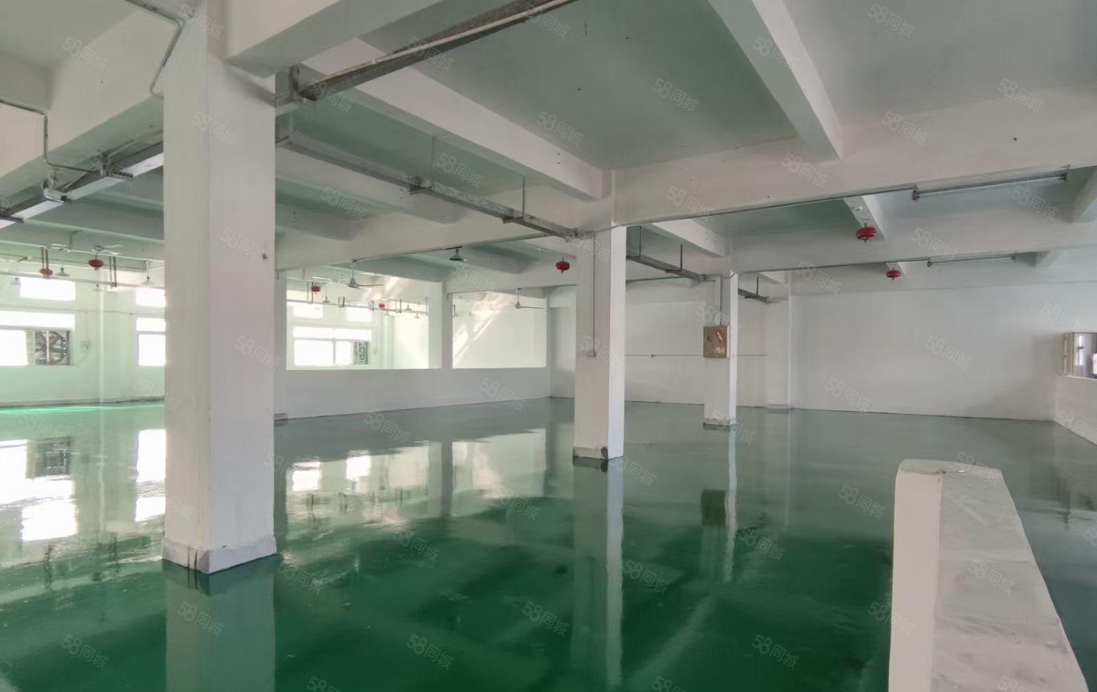 厂房出租    一楼和楼上210平380平600平1500平