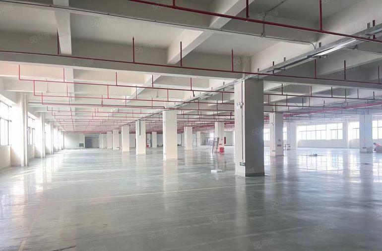 塘厦凤岗清溪交界处新出楼上5080平电商厂房仓库出租