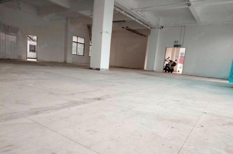 标准厂房1楼一5楼上500平对外出租现成装修水电齐全优惠多多