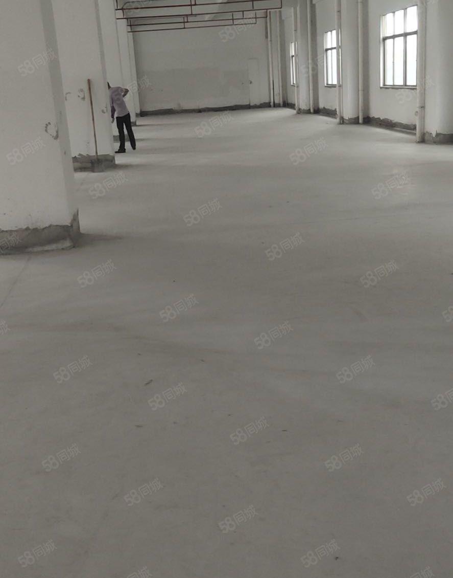 塘厦石马3楼850平方，原房东直租