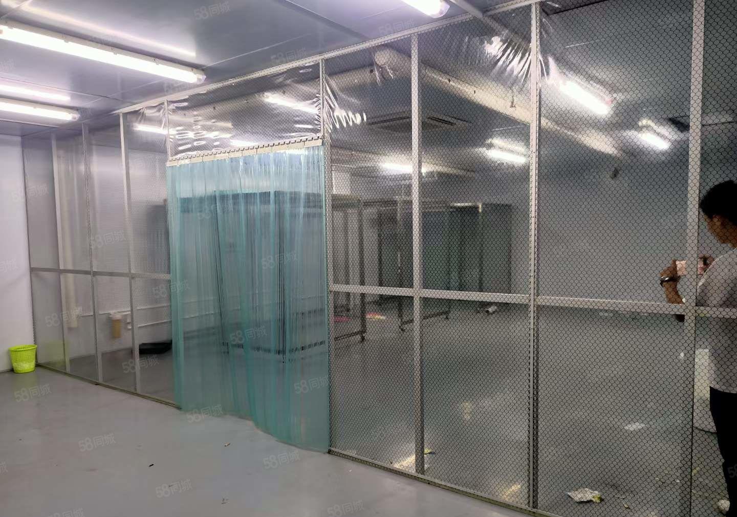 塘厦原房东实际面积出租252平，无转让费主线到位全新地坪漆